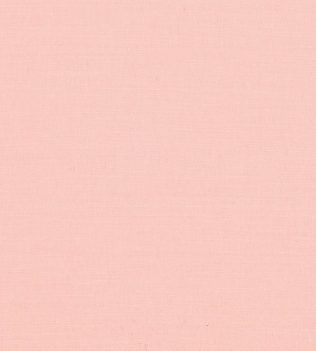 Linara Fabric by Romo Mallow