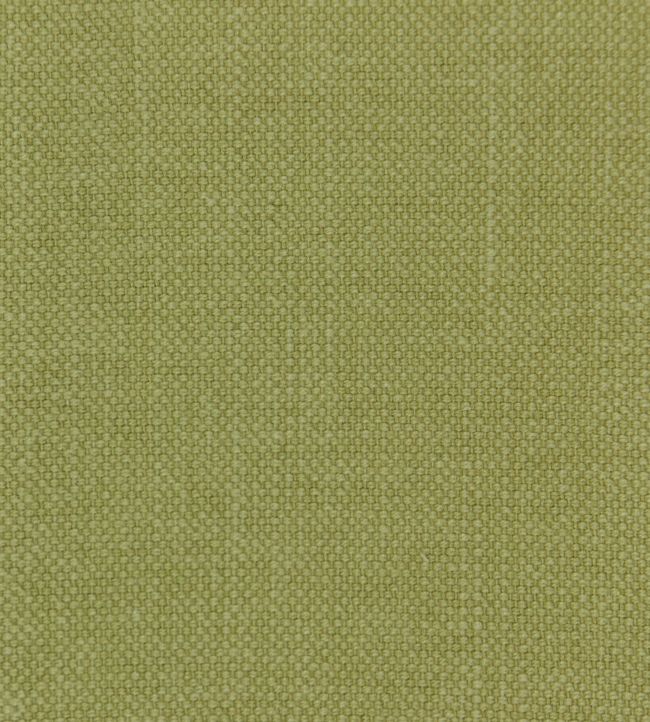 Linara Fabric by Romo Pistachio