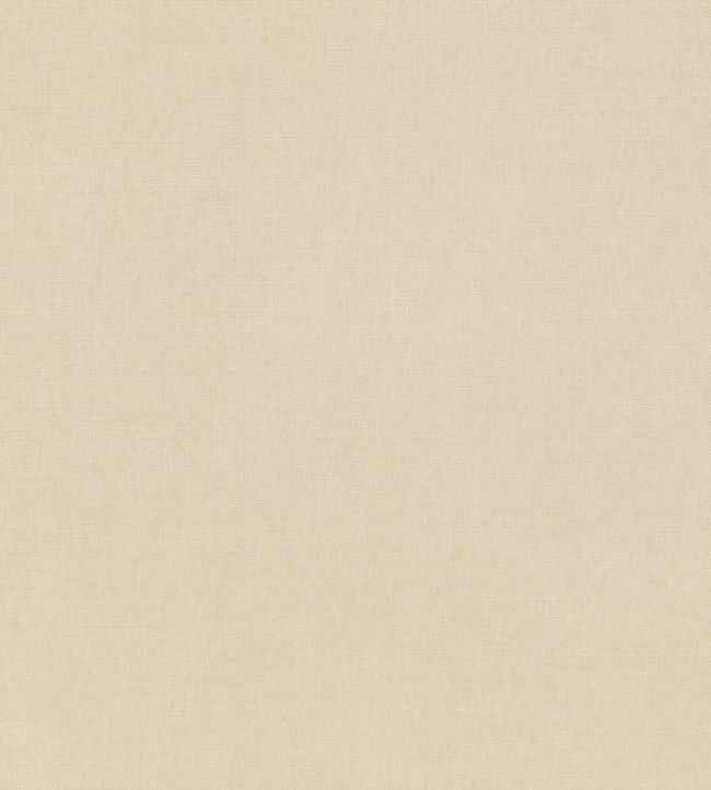 Linara FR Fabric by Romo Limestone