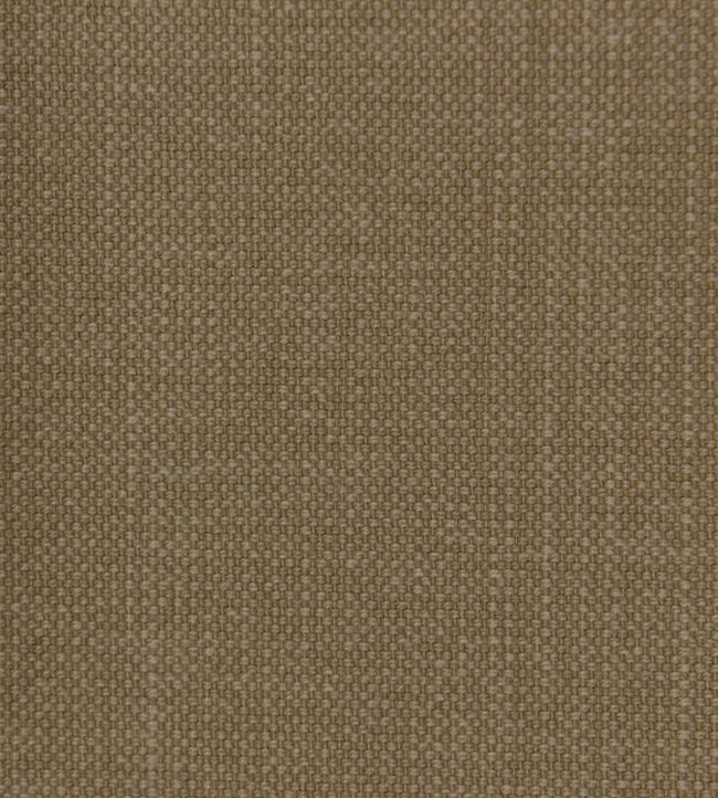 Linara Fabric by Romo Truffle