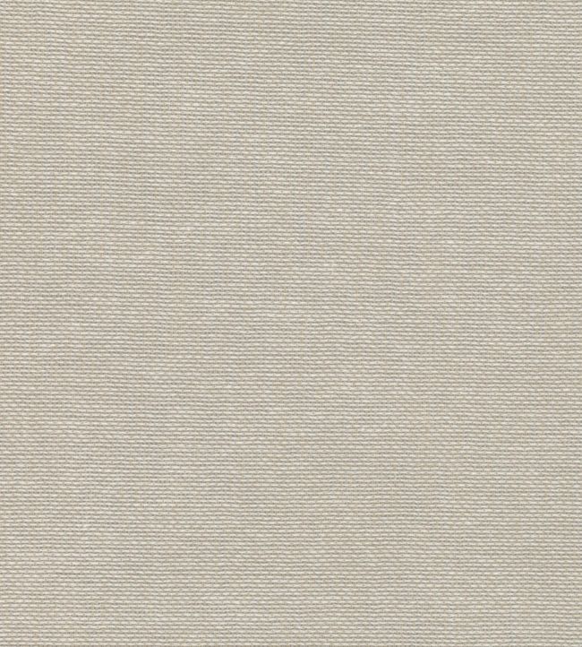 Naro Fabric by Romo Briosca