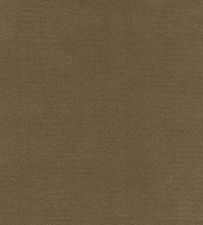 Rooksmoor Velvet Fabric by Lewis & Wood Fawn
