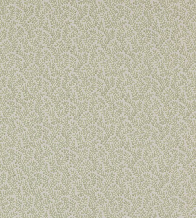 Rushmere Wallpaper by Colefax and Fowler Willow Green