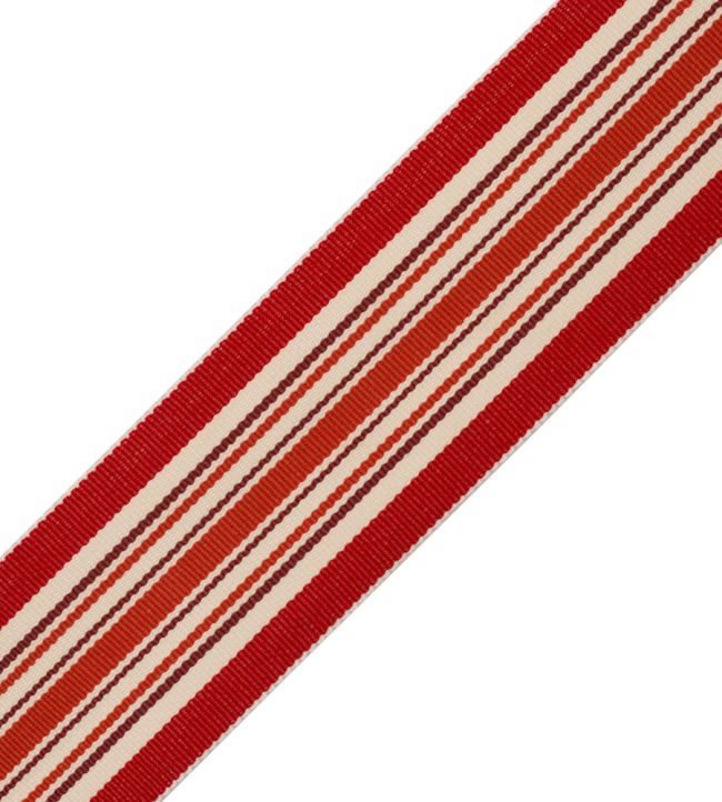 Saisons Stripe Border Trimming by Samuel & Sons Geranium