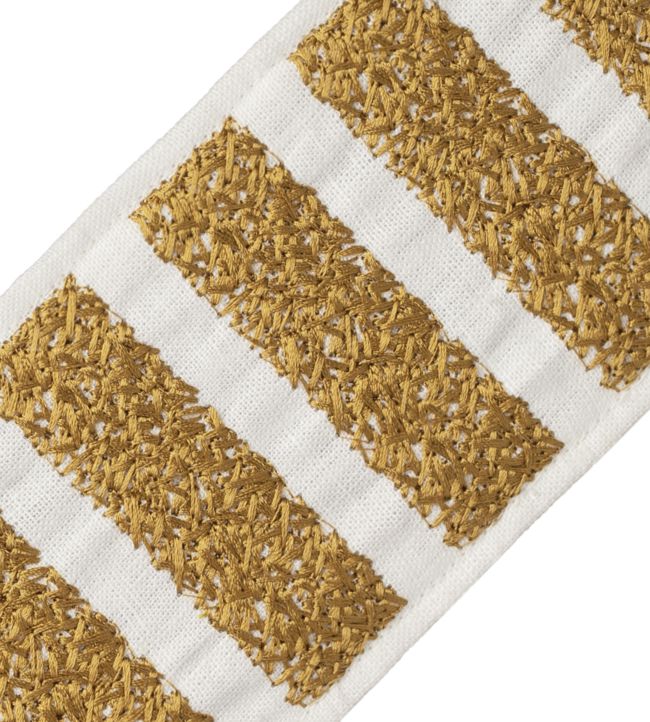 Equinox Embroidered Border Trimming by Samuel & Sons Gold