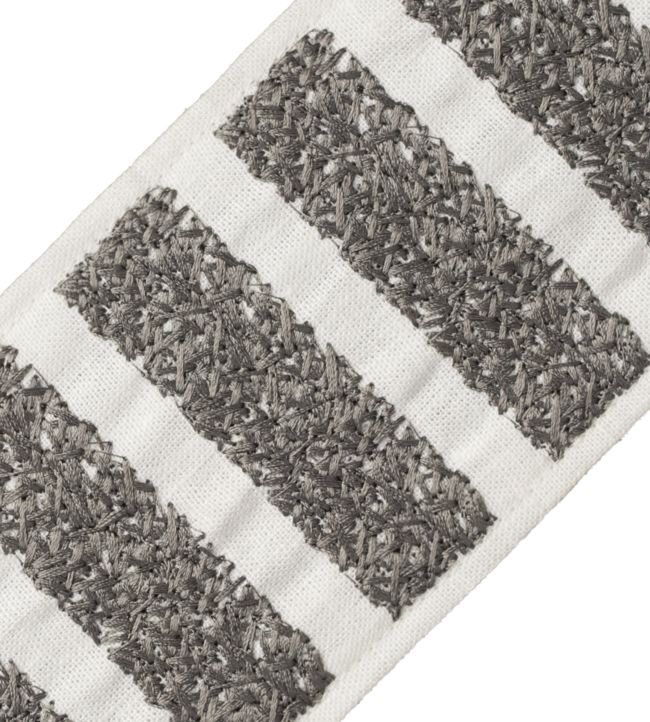 Equinox Embroidered Border Trimming by Samuel & Sons Titanium