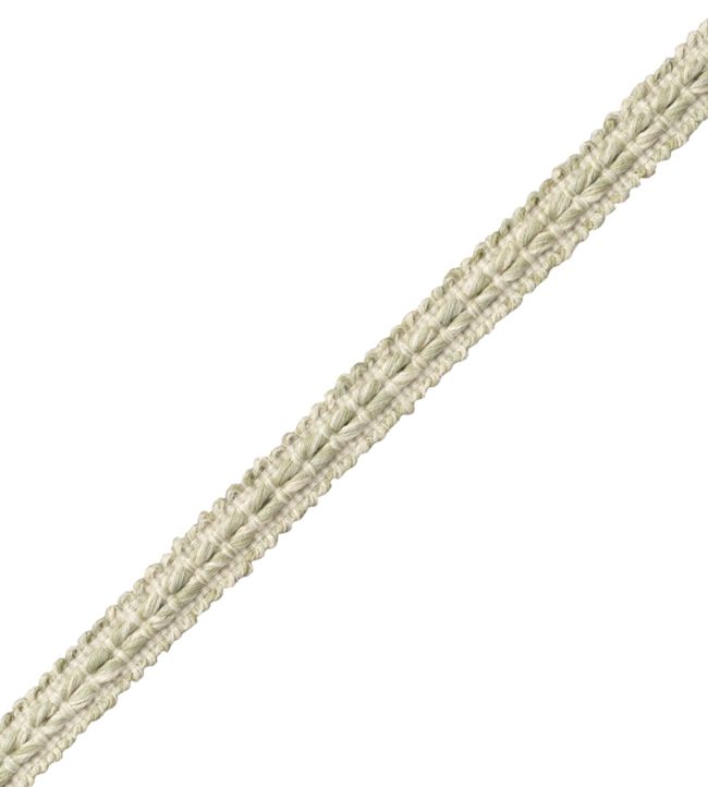 Somerset Strie Gimp Trimming by Samuel & Sons Willow