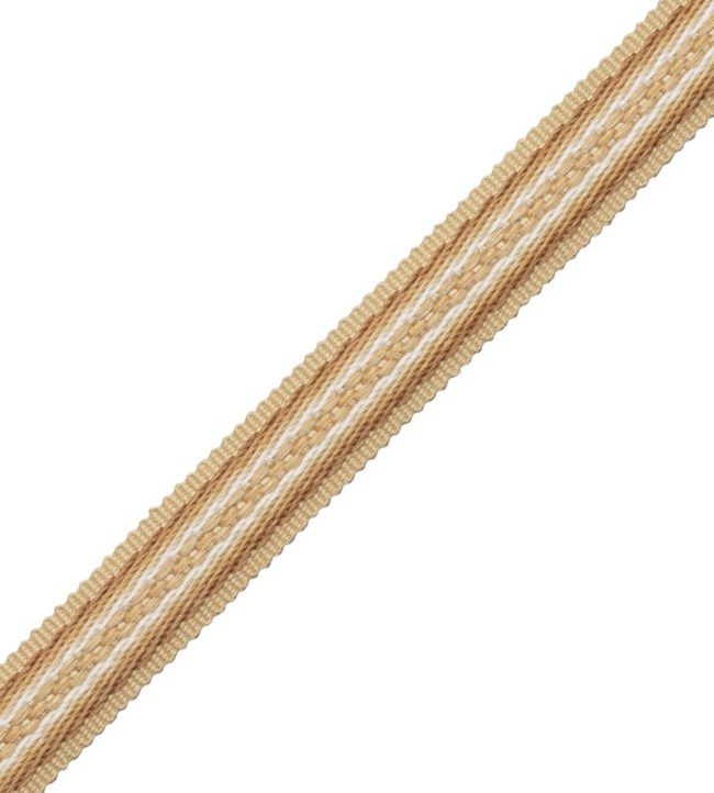 19mm Tiverton Border Trimming by Samuel & Sons Ocher