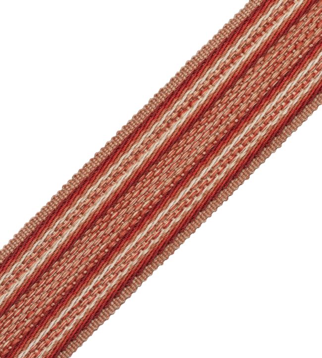 43mm Tiverton Border Trimming by Samuel & Sons Vermillion