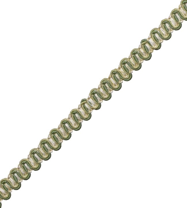 Tiverton Gimp Trimming by Samuel & Sons Fern