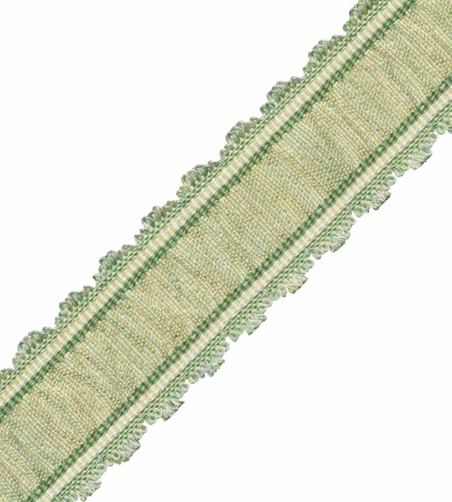 Tiverton Pleated Border Trimming by Samuel & Sons Fern