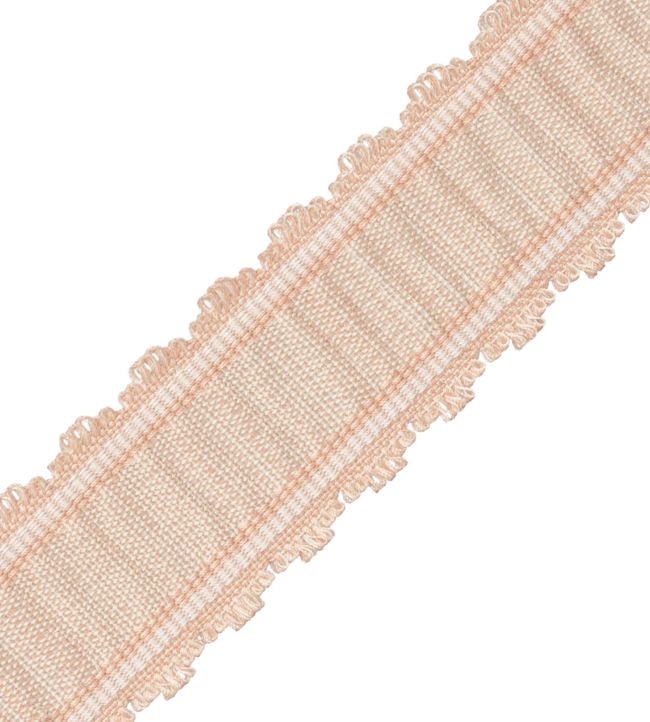 Tiverton Pleated Border Trimming by Samuel & Sons Shell