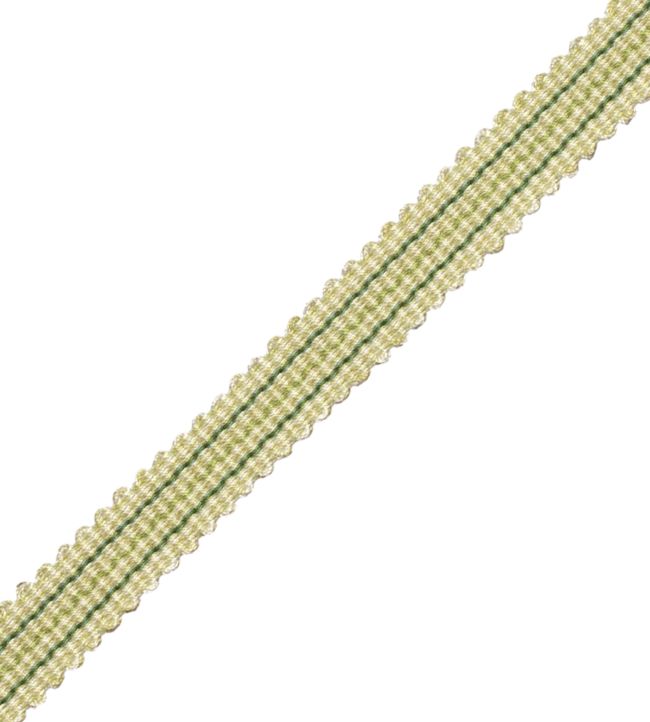 Tiverton Striped Gimp Trimming by Samuel & Sons Fern