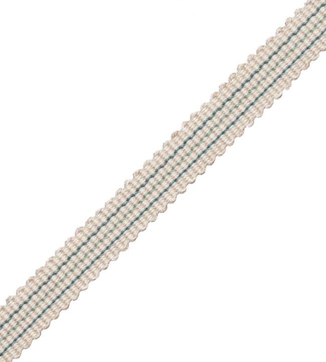 Tiverton Striped Gimp Trimming by Samuel & Sons Aqua