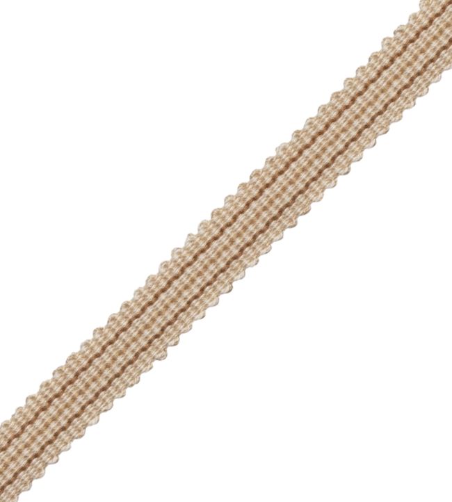 Tiverton Striped Gimp Trimming by Samuel & Sons Ocher