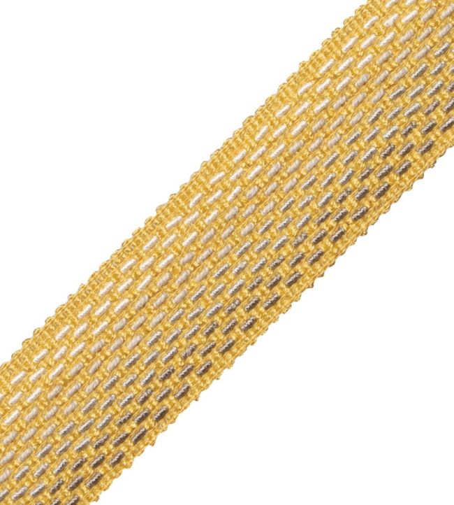 Veranda Ombre Border Trimming by Samuel & Sons Goldenrod