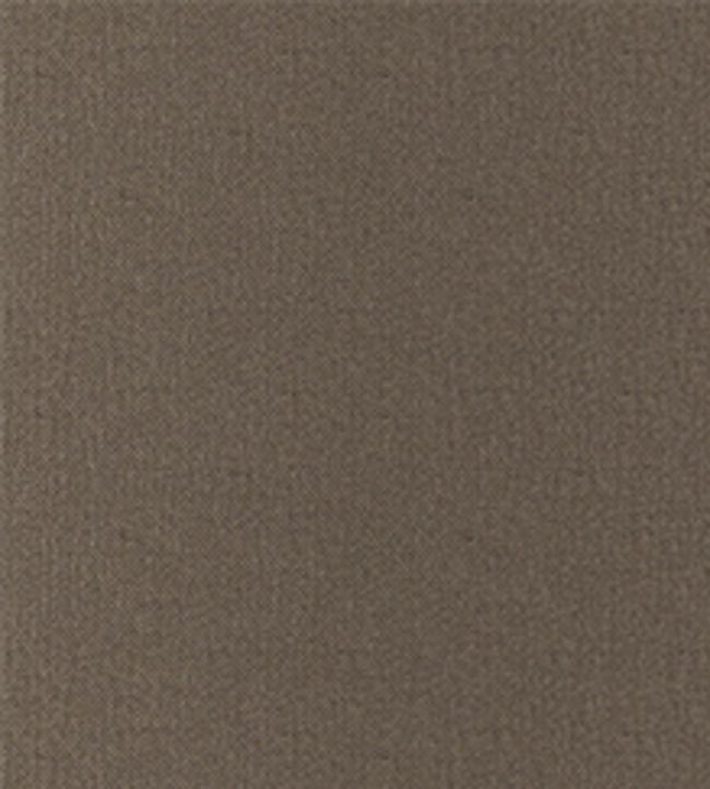 San Marco Fabric by Wemyss Brownie