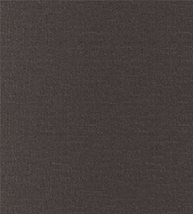 San Marco Fabric by Wemyss Cocoa