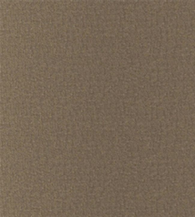 San Marco Fabric by Wemyss Hazel