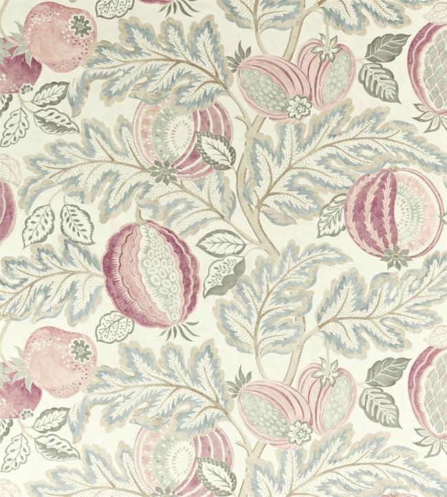 Cantaloupe Fabric by Sanderson Blush/Dove