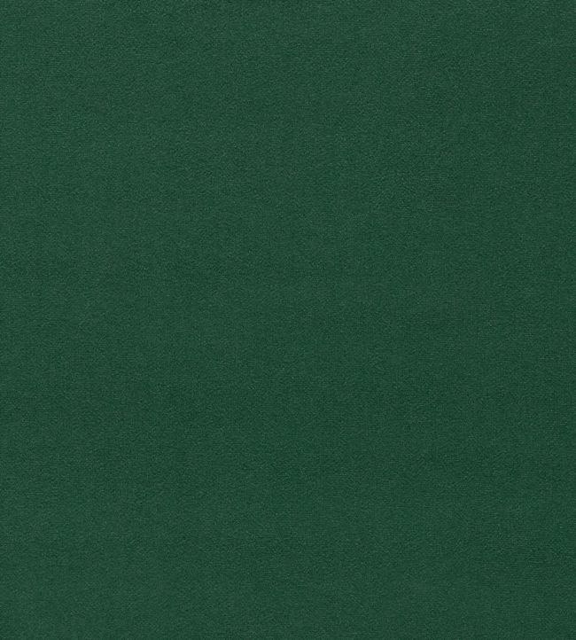 Dorton Fabric by Sanderson in Cactus Jane Clayton