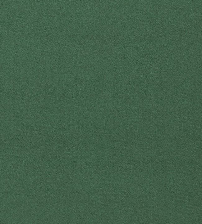 Dorton Fabric by Sanderson Sage