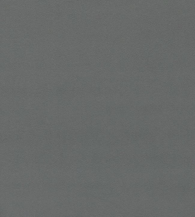 Dorton Fabric by Sanderson Gunmetal