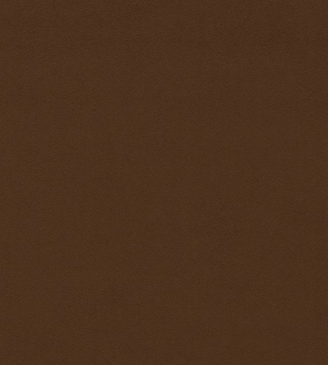 Dorton Fabric by Sanderson Cocoa