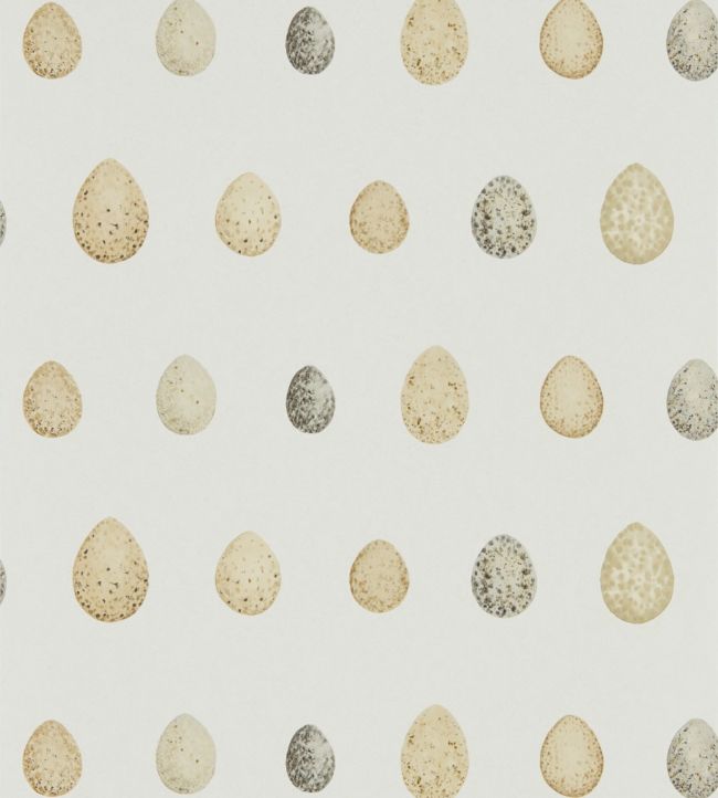 Nest Egg Wallpaper by Sanderson in Corn Graphite | Jane Clayton