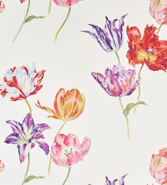 Tulipomania Wallpaper by Sanderson in Botanical | Jane Clayton