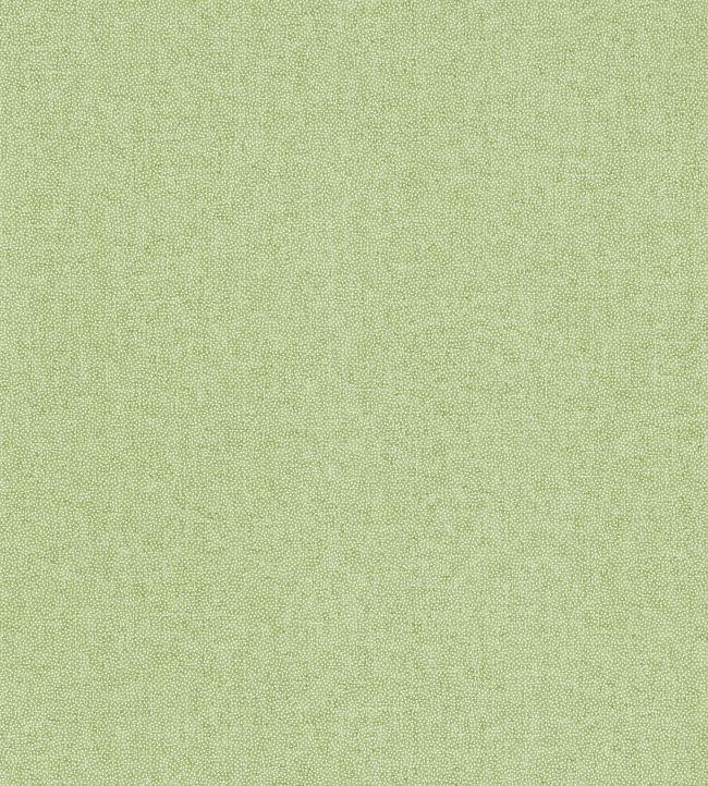 Sessile Plain Wallpaper by Sanderson Moss Green