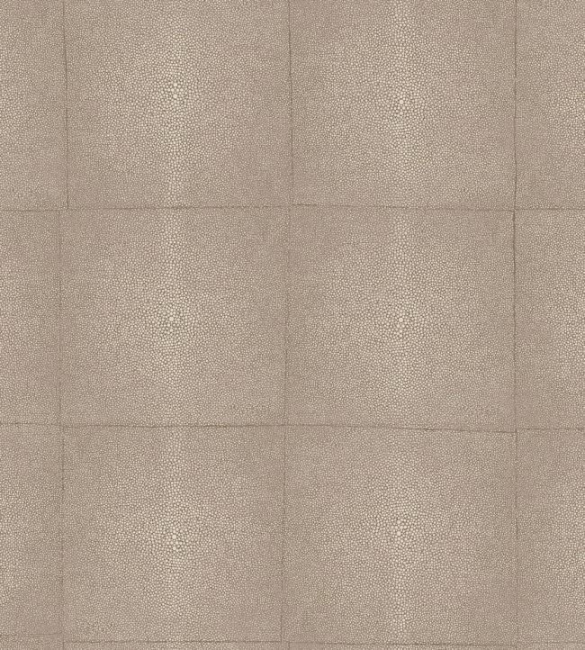 Shagreen Wallpaper by Arte Warm Grey