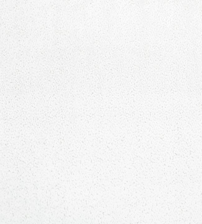 Shearling Fabric by Zinc Blizzard