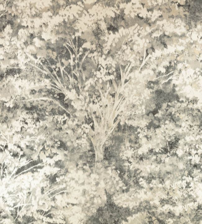Sikora Wallpaper by Romo Charcoal