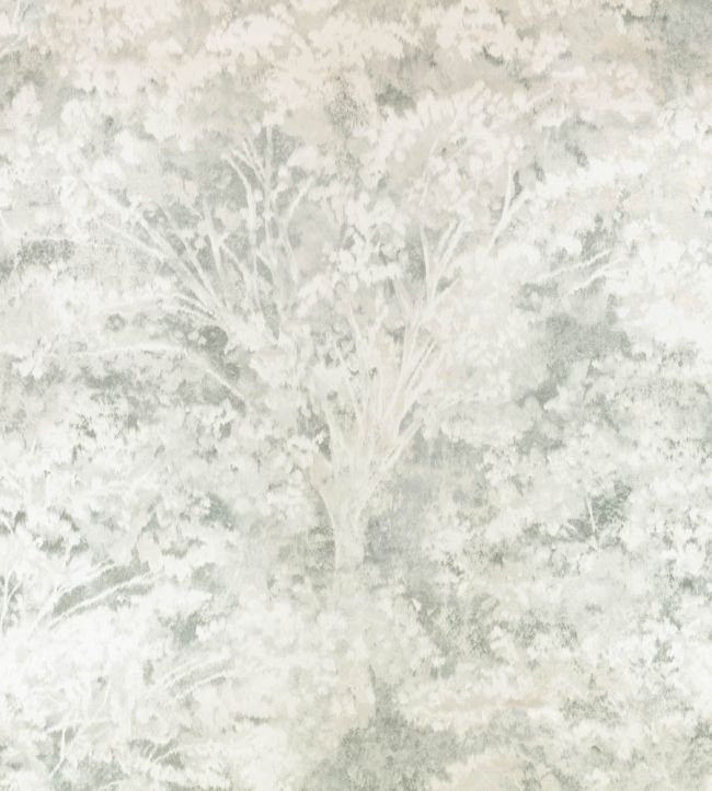 Sikora Wallpaper by Romo Lovat