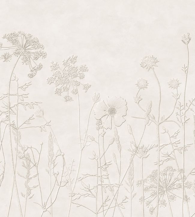 Silhouette Flowers Mural by Eijffinger White/Cream