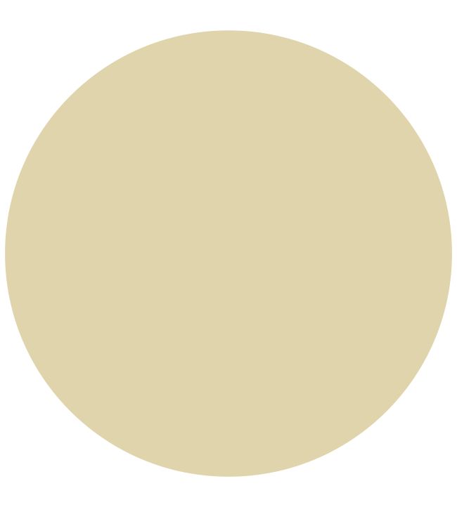 Zoffany Silk Yellow True Matt Emulsion Paint Jane Clayton