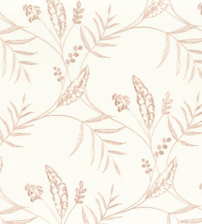 Sisteron Sheer Fabric by Camengo Nude
