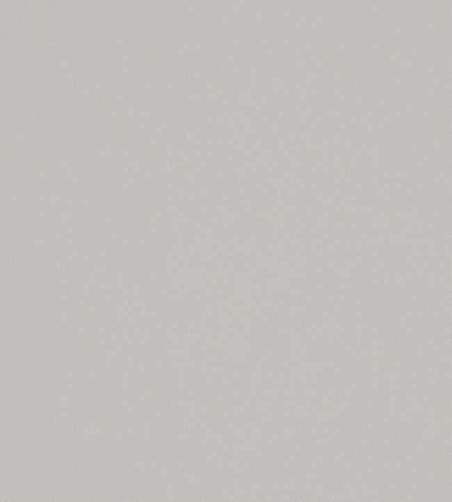 Solaire Fabric by Warwick Shell