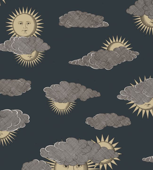 Soli e Nuvole Wallpaper in Gold & Silver on Charcoal by Cole & Son Jane Clayton