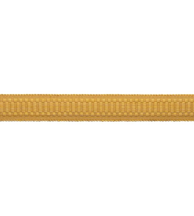 Sophie Border Trimming by Samuel & Sons Dijon