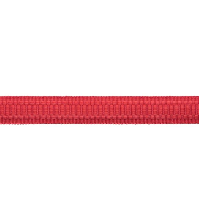 Sophie Border Trimming by Samuel & Sons Tulip