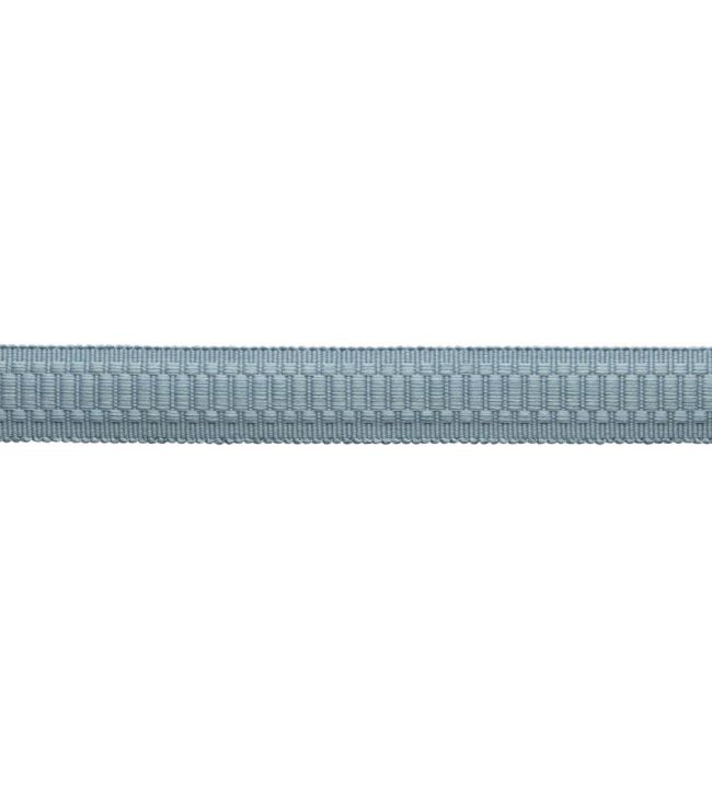 Sophie Border Trimming by Samuel & Sons Wedgewood