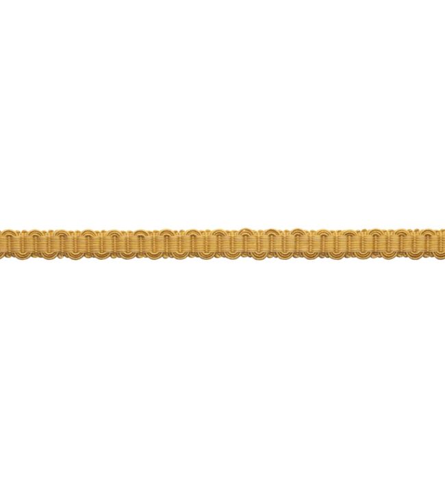 Sophie Gimp Trimming by Samuel & Sons Dijon