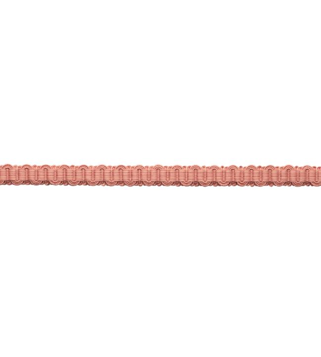 Sophie Gimp Trimming by Samuel & Sons Rose Water