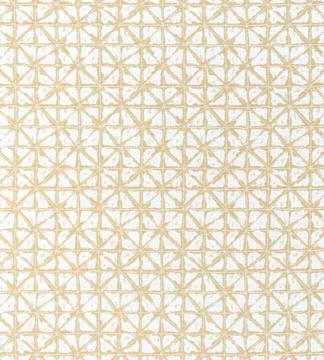 Soren Fabric by Thibaut Straw