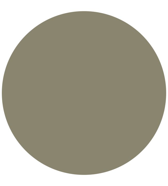 Color clearance eggshell paint