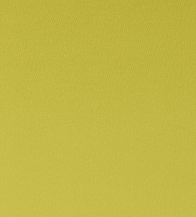 Spectrum Fabric by Clarke & Clarke Chartreuse