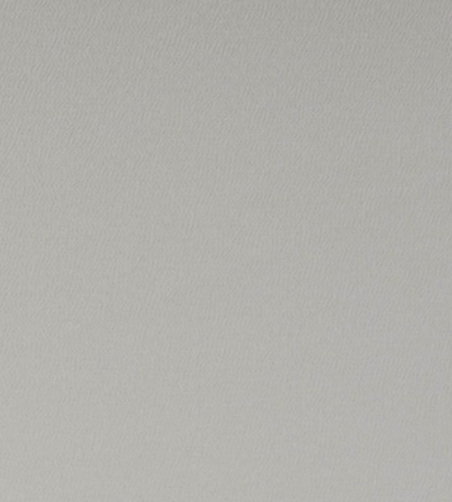 Spectrum Fabric by Clarke & Clarke Silver