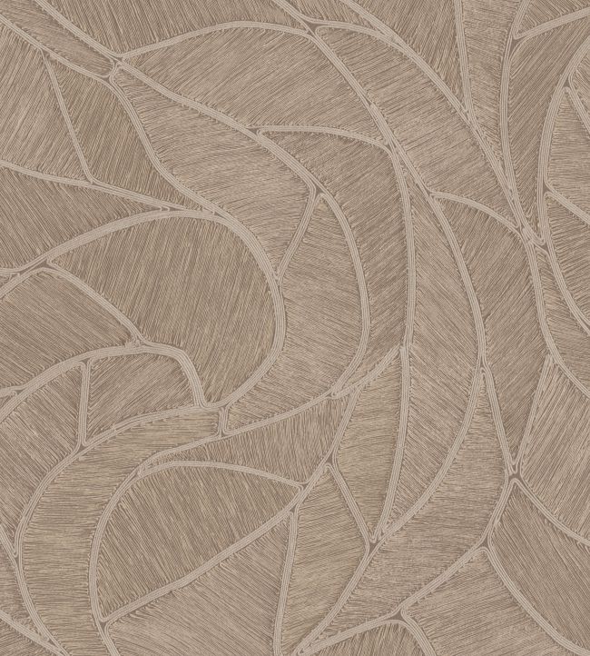 Spiral Wallpaper by Arte Taupe